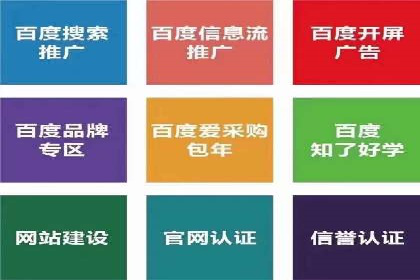百度推广代运营案例：行业领先企业的成功之道